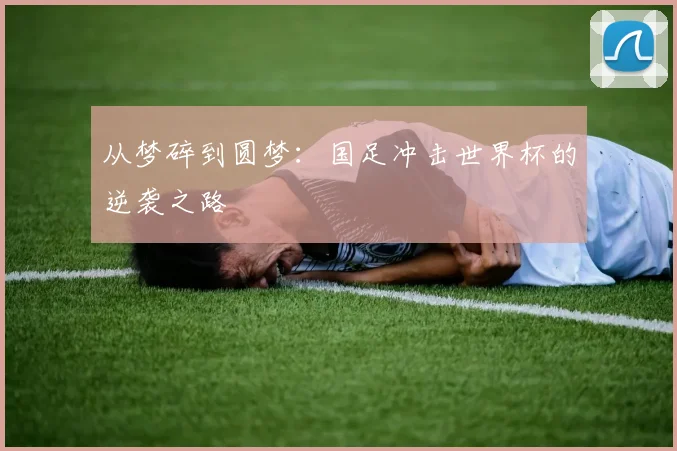 从梦碎到圆梦：国足冲击世界杯的逆袭之路
