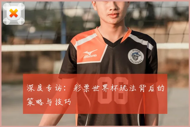 深度专访:彩票世界杯玩法背后的策略与技巧