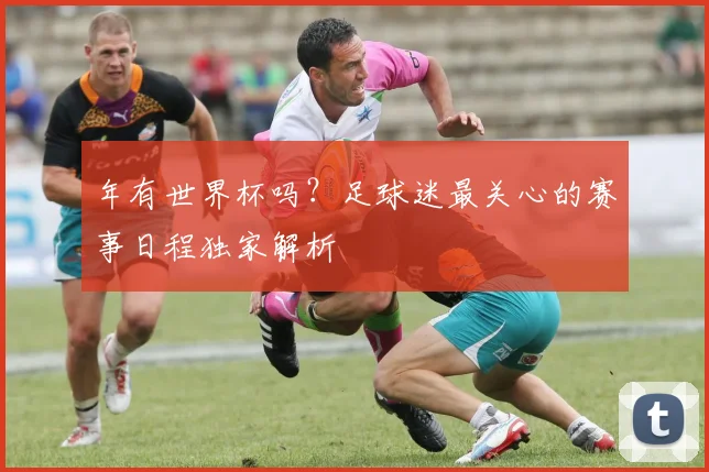 年有世界杯吗？足球迷最关心的赛事日程独家解析