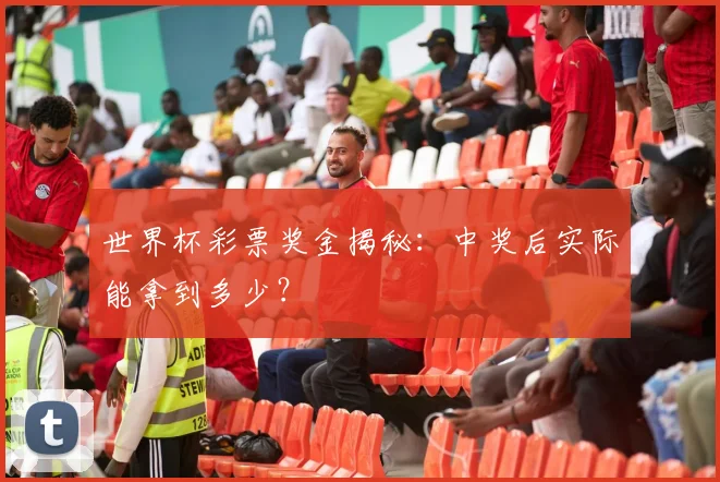 世界杯彩票奖金揭秘：中奖后实际能拿到多少？
