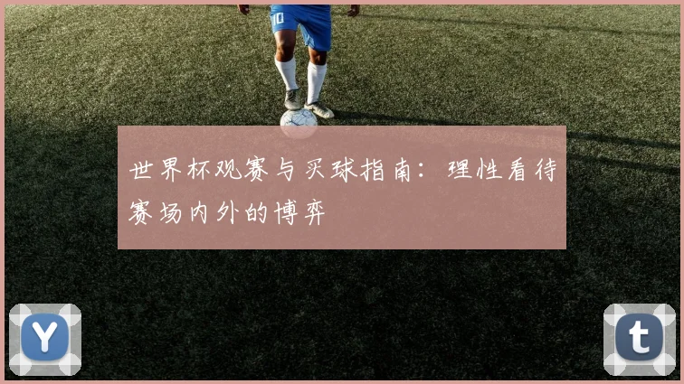 世界杯观赛与买球指南：理性看待赛场内外的博弈