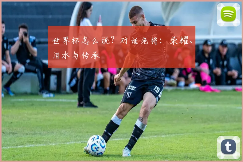 世界杯怎么说?对话老将:荣耀、泪水与传承