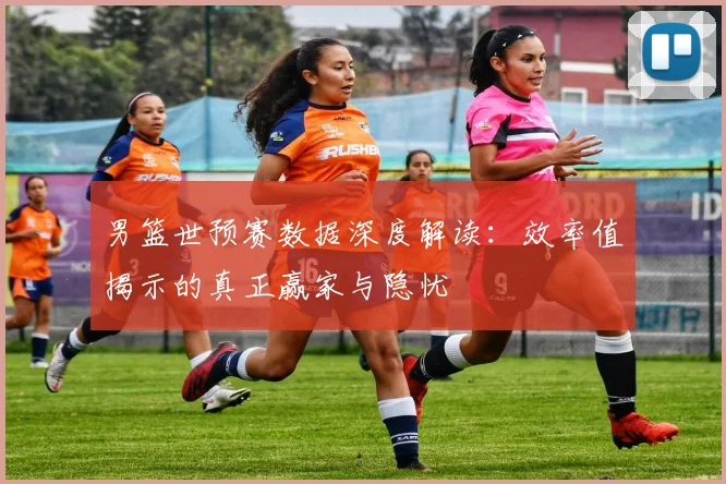 男篮世预赛数据深度解读:效率值揭示的真正赢家与隐忧