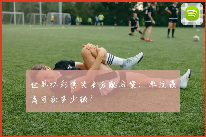 世界杯彩票奖金分配方案：单注最高可获多少钱？