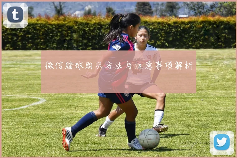 微信赌球购买方法与注意事项解析