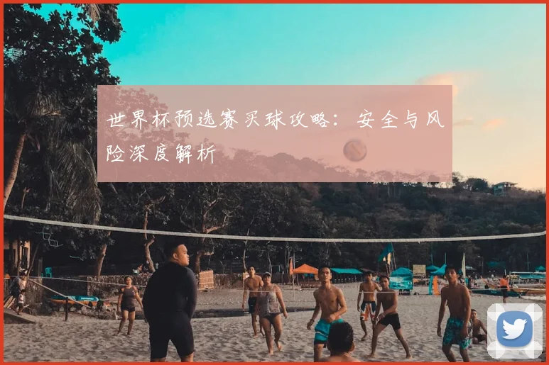世界杯预选赛买球攻略:安全与风险深度解析