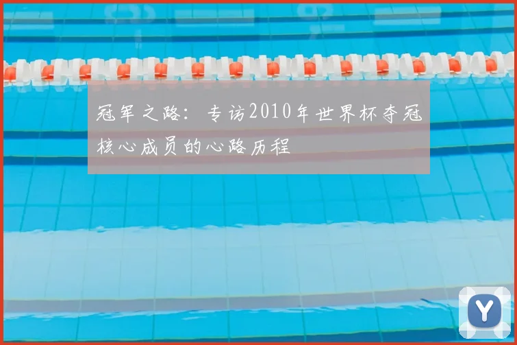 冠军之路:专访2010年世界杯夺冠核心成员的心路历程
