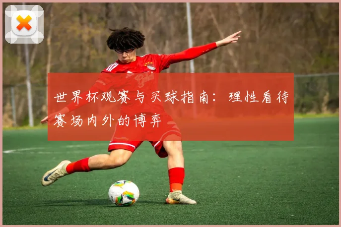 世界杯观赛与买球指南：理性看待赛场内外的博弈
