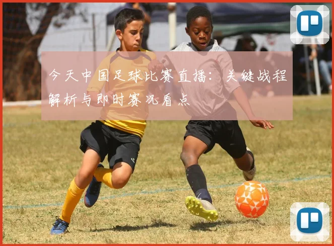 今天中国足球比赛直播：关键战程解析与即时赛况看点