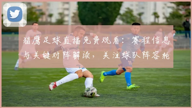 猎鹰足球直播免费观看：赛程信息与关键对阵解读，关注球队阵容轮换与比赛进程