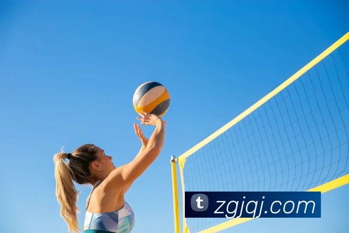 星空体育(中国)官网APP 封面图